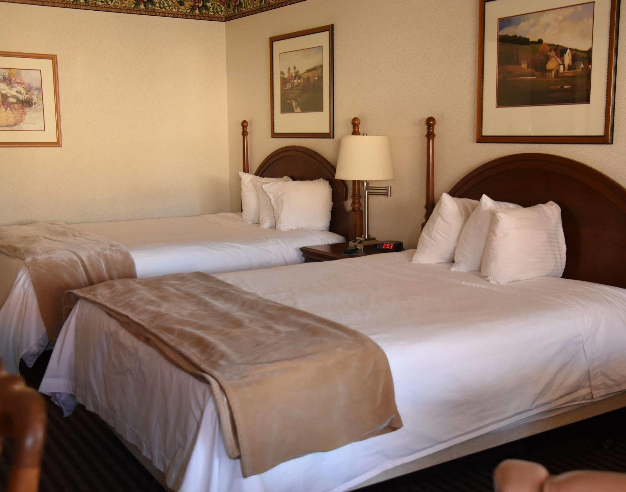 Thunderbird Motel Elko Bagian luar foto